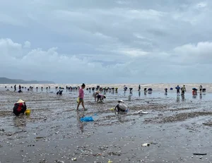 Locals Harvest 'Heaven's Gift' as Seafood Washes Ashore After Storm No. 4 - image 1