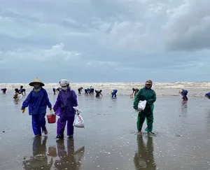 Locals Harvest 'Heaven's Gift' as Seafood Washes Ashore After Storm No. 4 - image 4