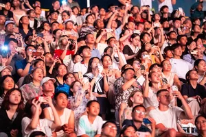 Da Nang International Fireworks Festival DIFF Vietnamese Summer Brand - image 4