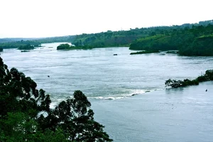 Hidden Secrets of the Nile: Exploring the World's Longest River - image 6