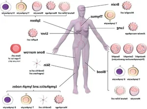 The Incredible Miracles of 3D Bioprinting Technology in Modern Medicine - image 0