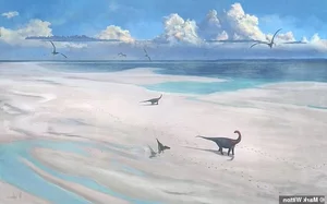 Exploring the UK's Largest Dinosaur Footprints: A Journey Back to the Prehistoric Jurassic Era - image 3