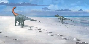 Exploring the UK's Largest Dinosaur Footprints: A Journey Back to the Prehistoric Jurassic Era - image 5