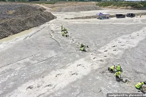 Exploring the UK's Largest Dinosaur Footprints: A Journey Back to the Prehistoric Jurassic Era - image 4