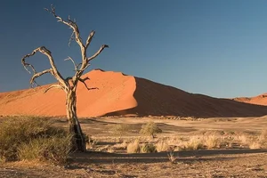 Mind-Blowing Facts About the Namib Desert, Earth's Oldest Desert - image 1