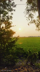 236+ Nostalgic Images of Rural Hometowns That Evoke Warm Memories - image 0