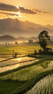 236+ Nostalgic Images of Rural Hometowns That Evoke Warm Memories - image 6