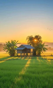 236+ Nostalgic Images of Rural Hometowns That Evoke Warm Memories - image 10
