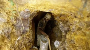 The Mystery of the World's Richest Gold Mine Nobody Dares Exploit - image 4