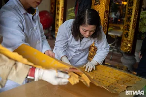 Decoding the 200-Year-Old Royal Decree of the Tay Son Dynasty - image 11