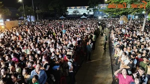 Spectacular New Year 2025 Music Festival and Fireworks Celebration in Dong Nai - image 6