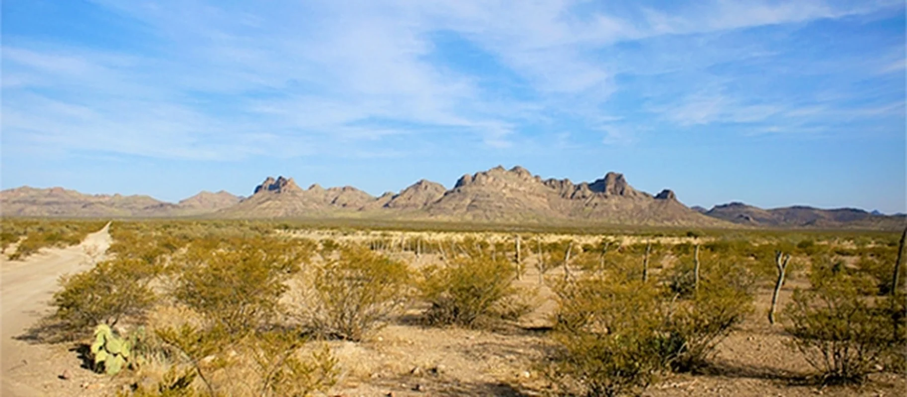 Uncovering the Unsolved Mysteries of Mexico’s Infamous Zone of Silence