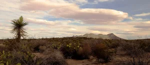 Uncovering the Unsolved Mysteries of Mexico’s Infamous Zone of Silence - image 3