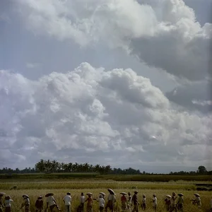 Capturing History: Nikolai Drachinsky’s Rare 1950s Photography of Socialist China’s Transformation - image 13