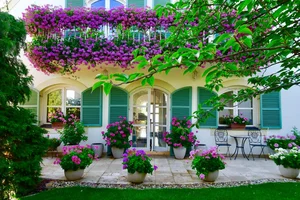 The Spectacular Flower Balcony in Hungary Created by a Vietnamese Expat - image 1