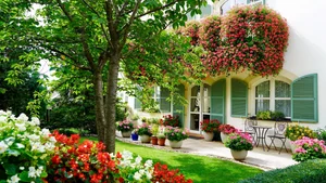The Spectacular Flower Balcony in Hungary Created by a Vietnamese Expat - image 4