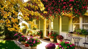 The Spectacular Flower Balcony in Hungary Created by a Vietnamese Expat - image 6