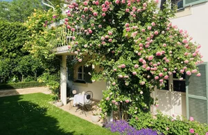 The Spectacular Flower Balcony in Hungary Created by a Vietnamese Expat - image 7