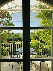 The Spectacular Flower Balcony in Hungary Created by a Vietnamese Expat - image 9
