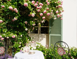 The Spectacular Flower Balcony in Hungary Created by a Vietnamese Expat - image 8