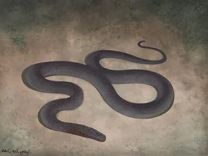 Rare Iridescent Snake Species Achalinus zugorum Discovered in Vietnam - image 3