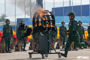 Spectacular Opening Ceremony of the Vietnam International Defense Expo 2024 Highlights Global Military Cooperation - image 3