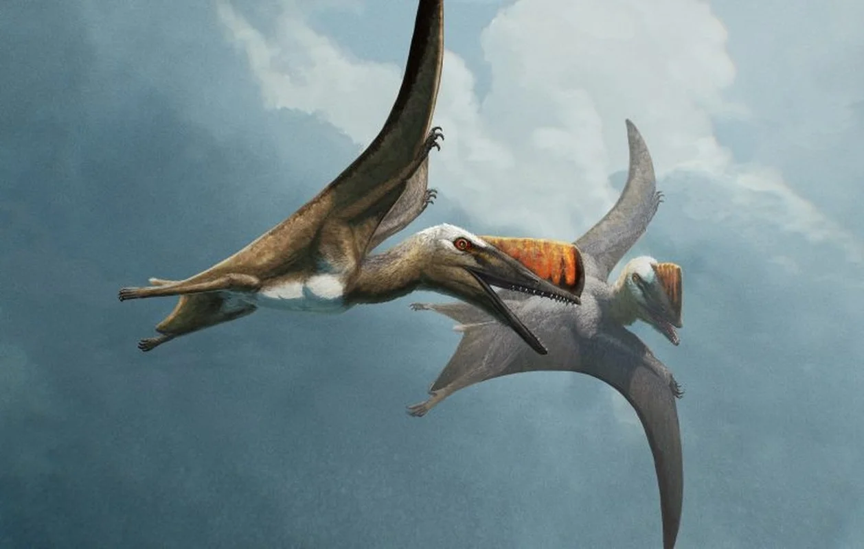 The Incredible Science of Gliding Lizards: How Nature’s Tiny Pilots Master the Skies
