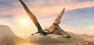 The Incredible Science of Gliding Lizards: How Nature’s Tiny Pilots Master the Skies - image 6