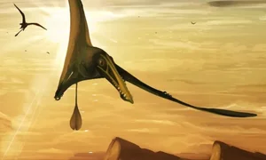 The Incredible Science of Gliding Lizards: How Nature’s Tiny Pilots Master the Skies - image 4