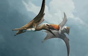 The Incredible Science of Gliding Lizards: How Nature’s Tiny Pilots Master the Skies - image 0