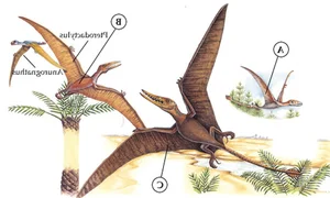 The Incredible Science of Gliding Lizards: How Nature’s Tiny Pilots Master the Skies - image 2