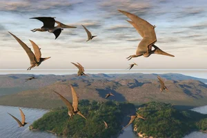 The Incredible Science of Gliding Lizards: How Nature’s Tiny Pilots Master the Skies - image 7