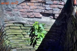Exploring the Mysterious Ancient Wells Scattered Across Vietnam's Three Regions - image 10