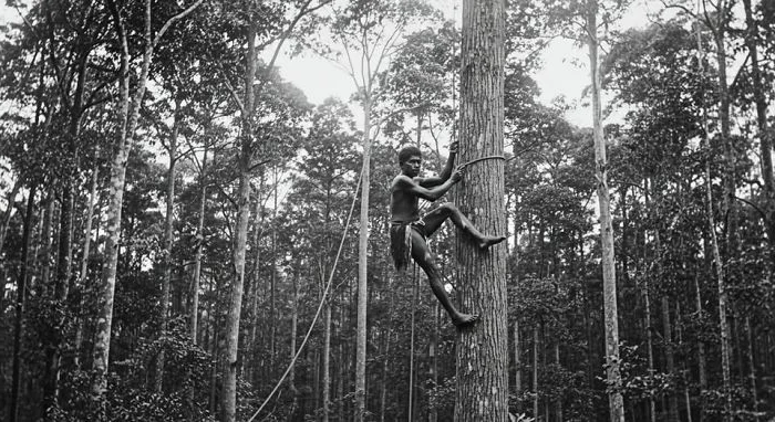 Rare Historical Moments: Unseen Photos That Changed Our Perspective
