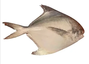 Waterfall Climbing Fish: The Extraordinary Species That Defies Gravity - image 0