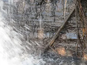 Waterfall Climbing Fish: The Extraordinary Species That Defies Gravity - image 1