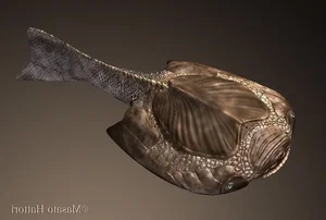 Waterfall Climbing Fish: The Extraordinary Species That Defies Gravity - image 2