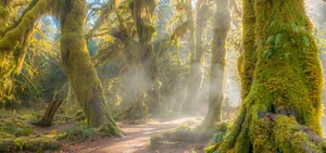 6 Most Famous Vampire Destinations Worldwide That Will Give You Chills - image 1