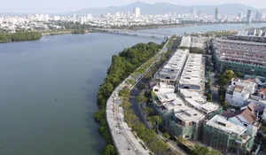 Da Nang Completes Major Riverside Landscape Renovation on Thang Long Street - image 3