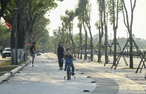 Da Nang Completes Major Riverside Landscape Renovation on Thang Long Street - image 9