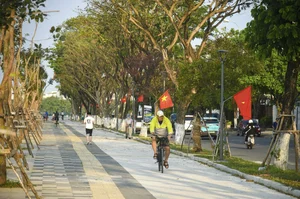 Da Nang Completes Major Riverside Landscape Renovation on Thang Long Street - image 8
