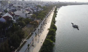 Da Nang Completes Major Riverside Landscape Renovation on Thang Long Street - image 4