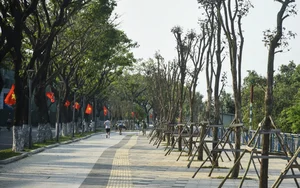 Da Nang Completes Major Riverside Landscape Renovation on Thang Long Street - image 7