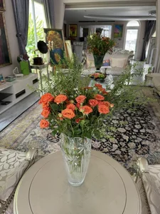 Inside Miss Giang My’s Luxurious Mansion: An Organic Oasis in the Heart of the City - image 8