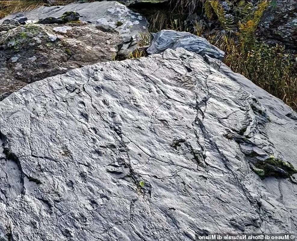 Ancient 280 Million Year Old Lost World Discovered in Alps