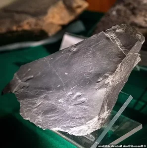 Ancient 280 Million Year Old Lost World Discovered in Alps - image 1