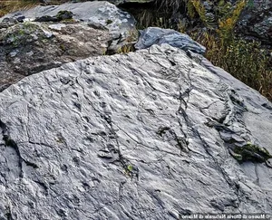 Ancient 280 Million Year Old Lost World Discovered in Alps - image 0