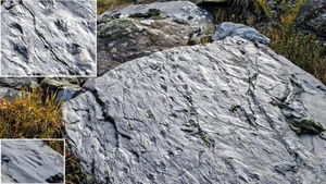 Ancient 280 Million Year Old Lost World Discovered in Alps - image 6