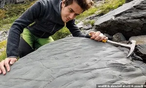 Ancient 280 Million Year Old Lost World Discovered in Alps - image 7
