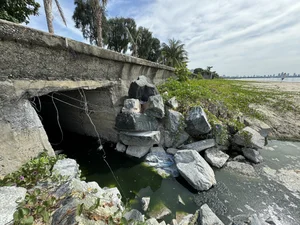 Environmental Concerns Over Smelly Wastewater Pools on Da Nang Beach - image 0